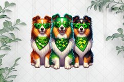 Patrick's Day Colorful Trio Shetland Sheepdog Product Image 1