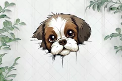 Baby Shih Tzu Dog Peeking Sublimation Clipart Product Image 1