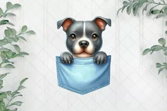 Staffordshire Bull Terrier Dog In Pockets Clipart Product Image 1