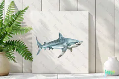 Tiger Shark Galeocerdo cuvier Watercolor Sharks Clipart Product Image 2