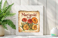 Marigold Seeds Vintage Flowers Clipart Seed Packet Product Image 2