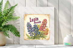 Lupin Seeds Vintage Flowers Clipart Seed Packet Product Image 2