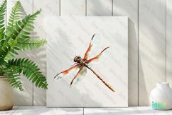 Dragonfly Vintage Insect Clipart Sublimation Product Image 2