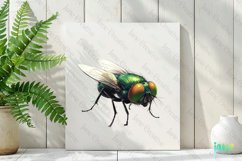 Fly Vintage Insect Clipart Sublimation Product Image 2