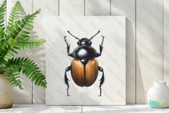 Beetle Vintage Insect Clipart Sublimation Product Image 2