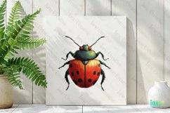 Ladybug Vintage Insect Clipart Sublimation Product Image 2