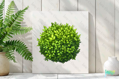 Watercolor Bushes Clipart Sublimation Product Image 2