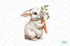 Vintage Easter Bunny Clipart Product Image 1