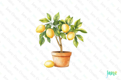 Watercolor Lemon Clipart PNG File Product Image 1