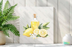 Watercolor Lemon Clipart PNG File Product Image 3