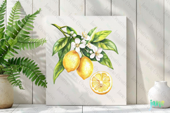 Watercolor Lemon Clipart Product Image 3