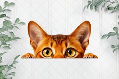 Peeking Abyssinian Cat Sublimation Clipart Product Image 1