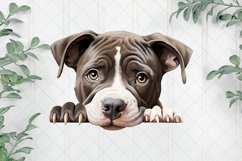 Peeking American Pit Bull Dogs Sublimation Clipart Product Image 1