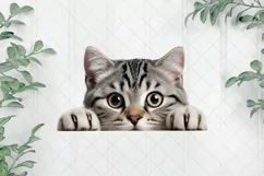 Peeking American Shorthair Cat Sublimation Clipart Product Image 1