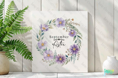 September - Watercolor Aster Birth Month Flower Clipart Product Image 3