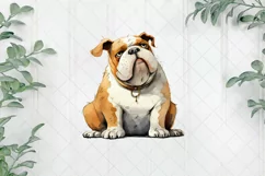 Bulldog In Children's Book Sublimation Clipart Product Image 1