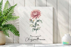 November - Watercolor Chrysanthemum Birth Month Flower PNG Product Image 2