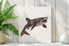 cookiecutter shark Isistius brasiliensis Watercolor Sharks Product Image 2