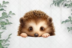 Peeking Hedgehog Sublimation Clipart Product Image 1