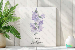 July - Watercolor Larkspur Birth Month Flower Clipart Product Image 2