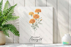 October - Watercolor Marigold Birth Month Flower Clipart Product Image 2