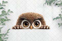 Peeking Owl Sublimation Clipart Product Image 1