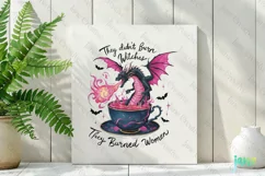 They Didn't Burn Witches They Burned Women Png Product Image 2