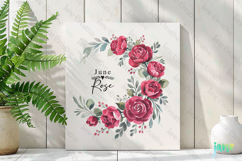 June - Watercolor Rose Birth Month Flower Clipart Product Image 2