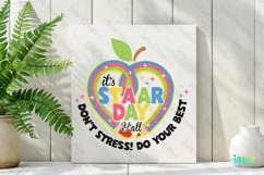 It's Staar Day Y'all Sublimation PNG SVG Product Image 2