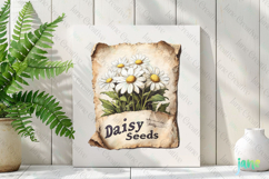 Marigold Seeds Vintage Flowers Clipart Seed Packet Product Image 2