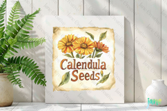 Calendula Seeds Vintage Flowers Clipart Seed Packet Product Image 2