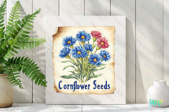 Cornflower Seeds Vintage Flowers Clipart Seed Packet Product Image 2