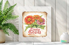 Zinnia Seeds Vintage Flowers Clipart Seed Packet Product Image 2