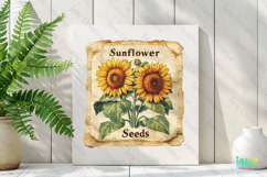 Sunflower Seeds Vintage Flowers Clipart Seed Packet Product Image 2