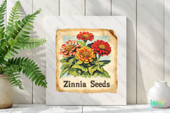Zinnia Seeds Vintage Flowers Clipart Seed Packet Product Image 2