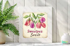 Sweetpea Seeds Vintage Flowers Clipart Seed Packet Product Image 2