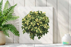 Watercolor Bushes Clipart Sublimation Product Image 2