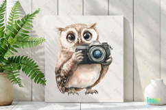 Owl Watercolor Cute Animals Photographer Product Image 2