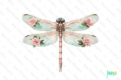 Mint And Pink Rose Garden Dragonfly Clipart Product Image 1