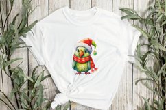 Christmas Farm Parrot Sublimation Clipart Product Image 3