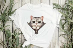 Cute Zipper American Shorthair Cats Clipart Product Image 3