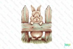 Vintage Easter Bunny Clipart Product Image 1