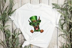 Doberman St Patrick’s Day Peeking Dog Product Image 3