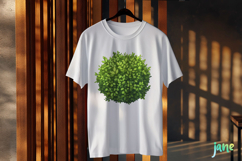 Watercolor Bushes Clipart Sublimation Product Image 3