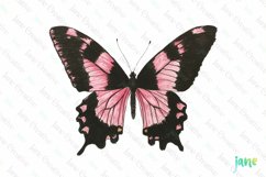 Black Pink Hand Drawing Butterfly Clipart Product Image 1