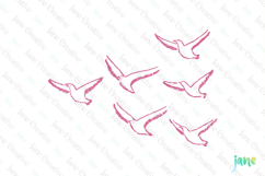 Coquette Coastal Birds Clipart Product Image 1