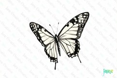 White Hand Drawing Butterfly Clipart Product Image 1