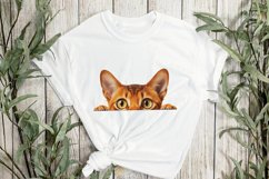 Peeking Abyssinian Cat Sublimation Clipart Product Image 2