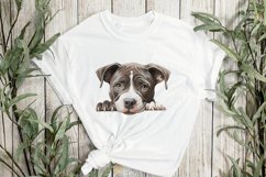 Peeking American Pit Bull Dogs Sublimation Clipart Product Image 2