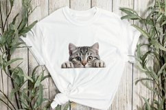 Peeking American Shorthair Cat Sublimation Clipart Product Image 2